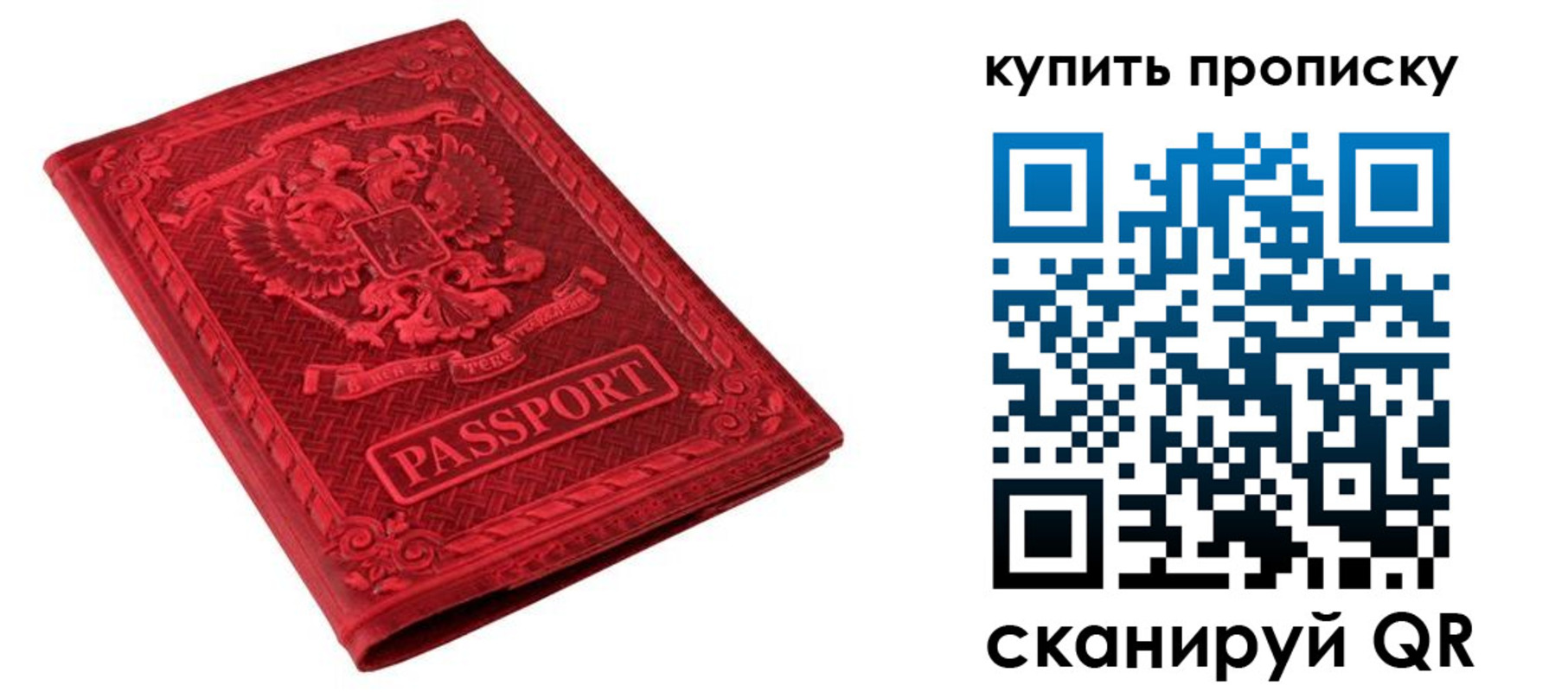 прописка в Кольчугино